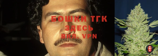 ECSTASY Лабытнанги