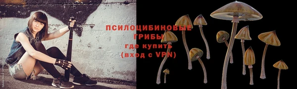 ECSTASY Лабытнанги