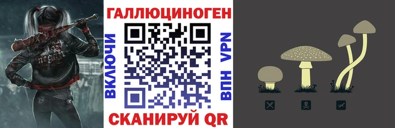 Галлюциногенные грибы Cubensis  Купить где  Горячеводский 